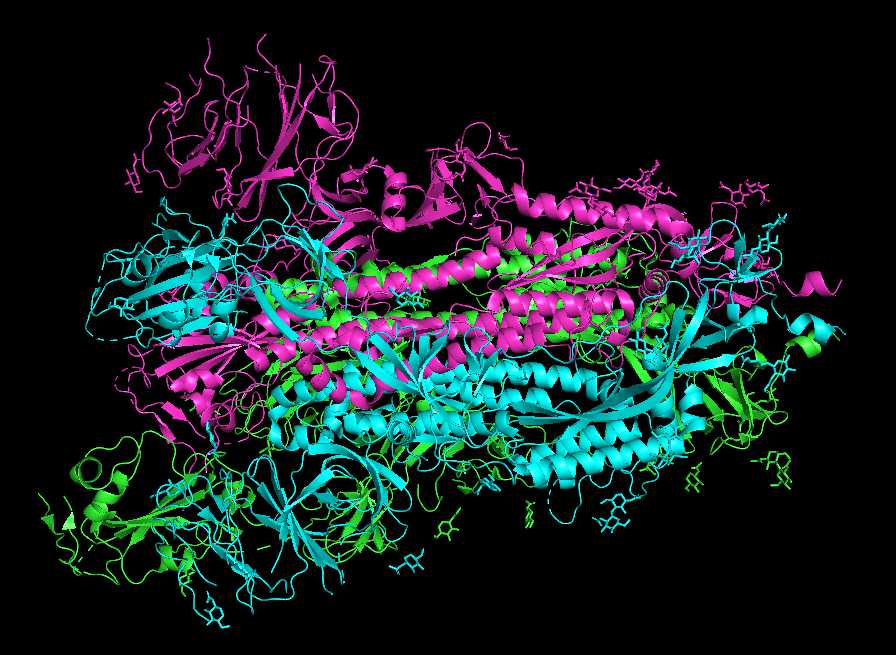 Struktura białka