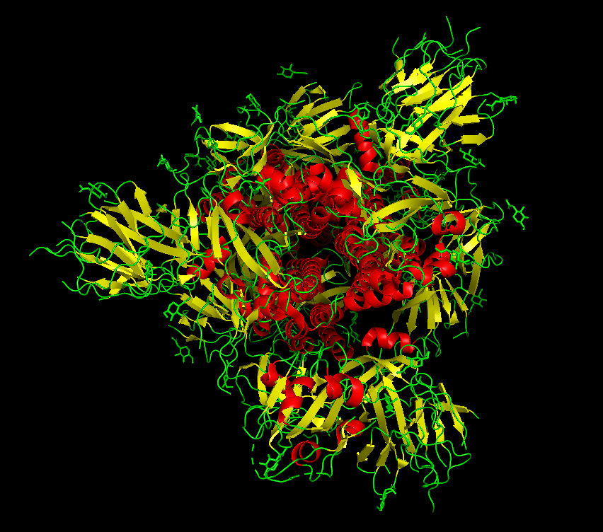 Struktury drugorzędowe białka